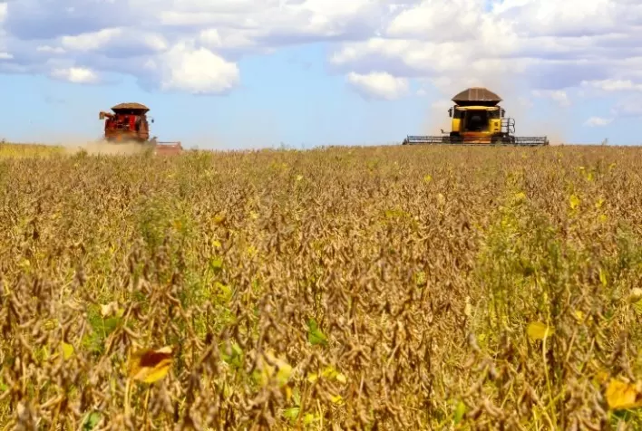 Soja brasileira safra 2020/21 está 87,0% comercializada, aponta DATAGRO