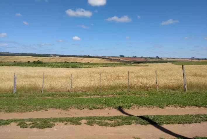 Secretaria da Agricultura publica novas instruções normativas relacionadas a agrotóxicos