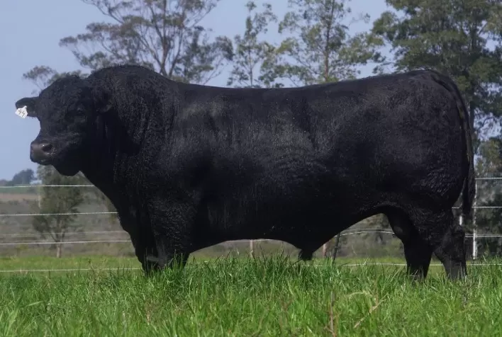 Estância da Guarita fatura R$ 2,9 milhões