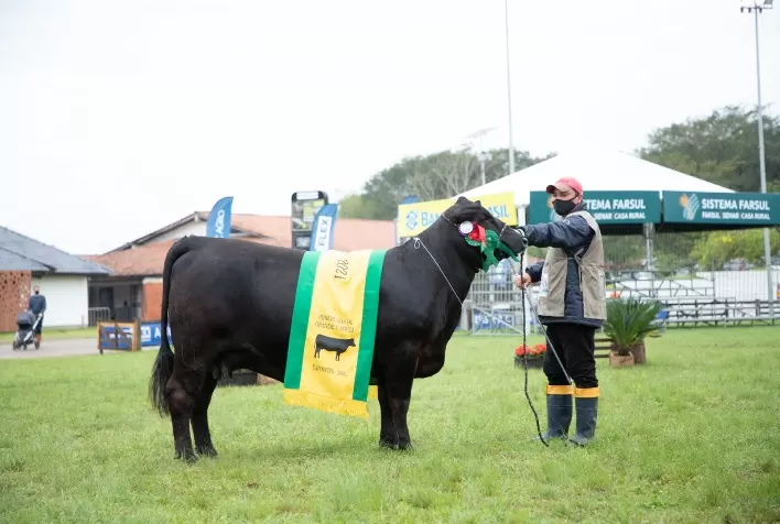 Reservada de Grande Campeã Ultrablack da Expointer tem cota de 50% comercializada por R$ 40,5 mil