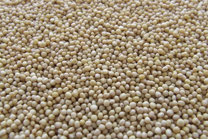 Novo padrão de umidade da soja: como isso afeta o agronegócio?