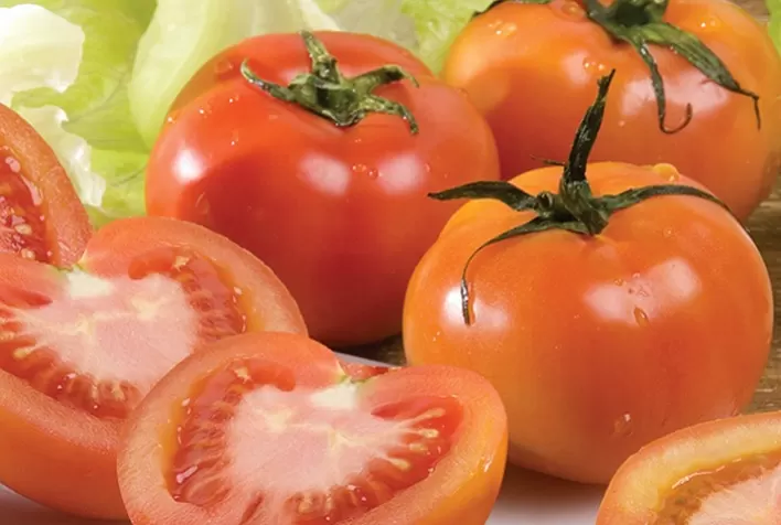 Seminário GranTomate traz tendências da cultura e apresenta inovações digitais para o cultivo