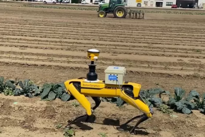 Corteva Agriscience é uma das primeiras empresas a utilizar robôs portáteis para caminhar pelas lavouras