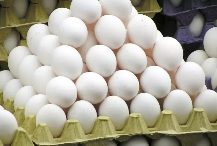 Cai a participação de paulistas, mineiros e capixabas na produção de ovos de consumo