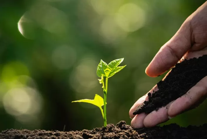 Em carta, grandes empresas pedem protagonismo do Brasil na agenda verde