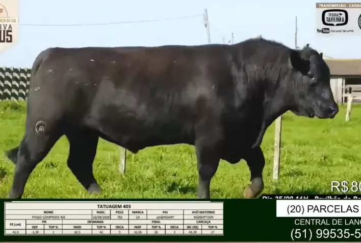 Reserva Angus faz média de R$ 16,5 mil em estreia em nova praça