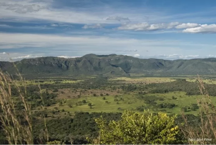 Agricultor ganha tempo e economiza dinheiro com alternativa certa de regularização de reserva legal
