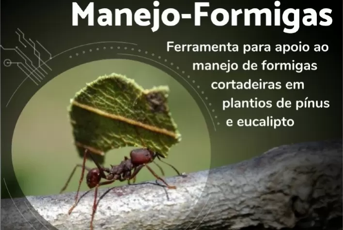 Controle de formigas cortadeiras ganha ferramenta para tomada de decisão