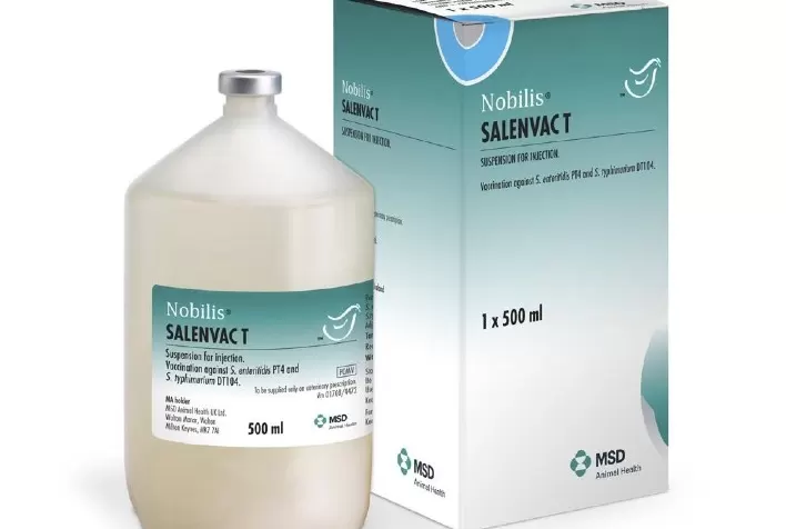 MSD Saúde Animal lança vacina trivalente contra Salmonella