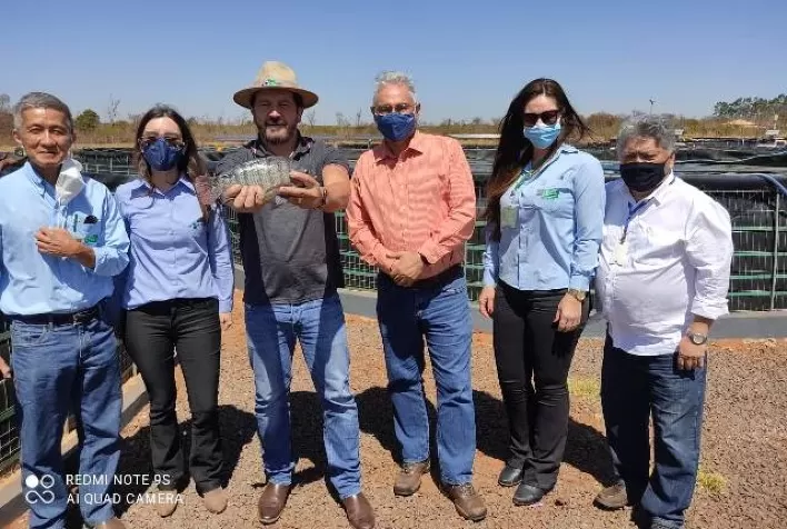 Piscicultura Intensiva com Tanques Elevados cresce em Mato Grosso do Sul