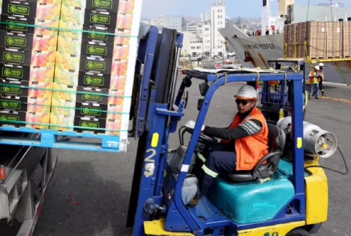 Com embarque recorde na parcial do ano, exportação brasileira de frutas pode, finalmente, atingir US$ 1 bi em 2021