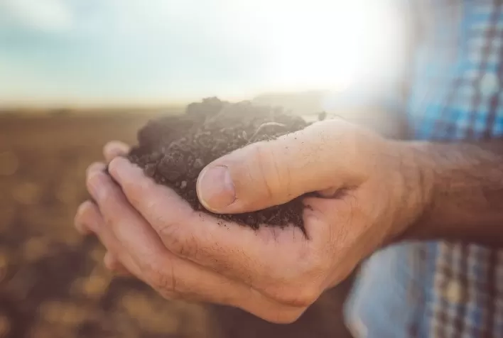 Nova fase de iniciativa Carbono Bayer reúne mais de 1.800 agricultores no Brasil