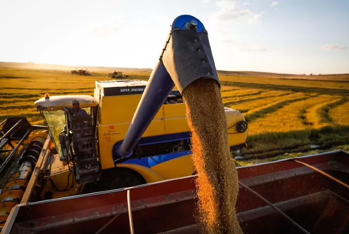 Colheita da safra 2020/21 de trigo no Paraná atinge 58% da área – Deral