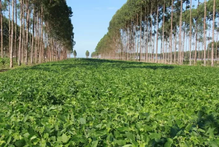 CPR Verde: um grande passo em 2021