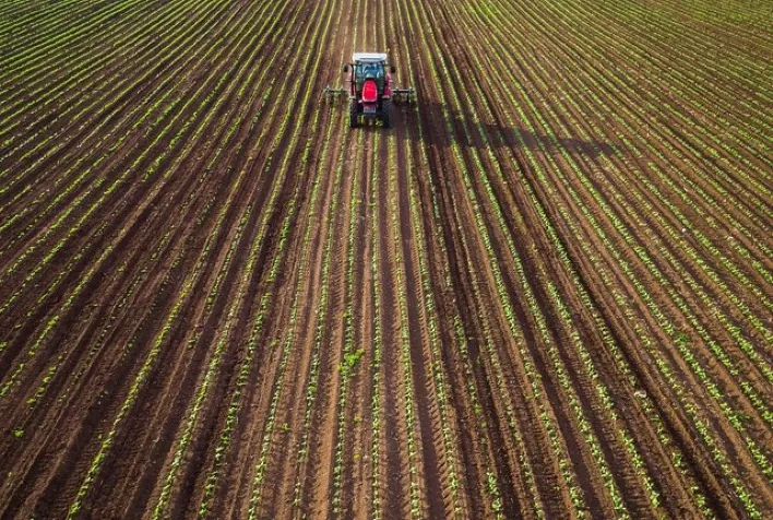 Plantio de soja está atrasado no Paraná