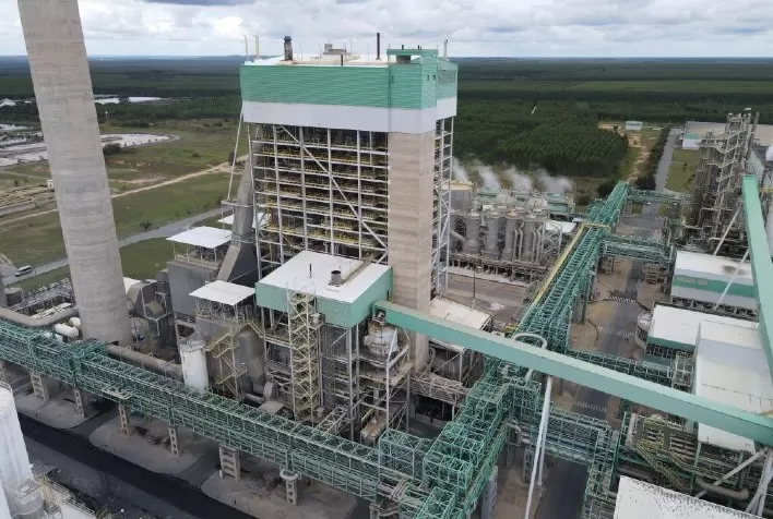 Veracel avalia novas possibilidades de reciclagem de resíduos para geração de energia limpa
