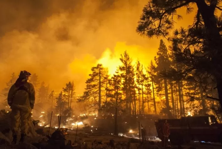 Minsait utiliza inteligência artificial e IoT para melhorar a prevenção e detecção de incêndios florestais
