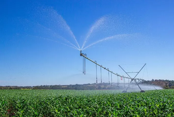 Com uma das maiores áreas irrigadas do País, Paracatu se destaca na produção agrícola