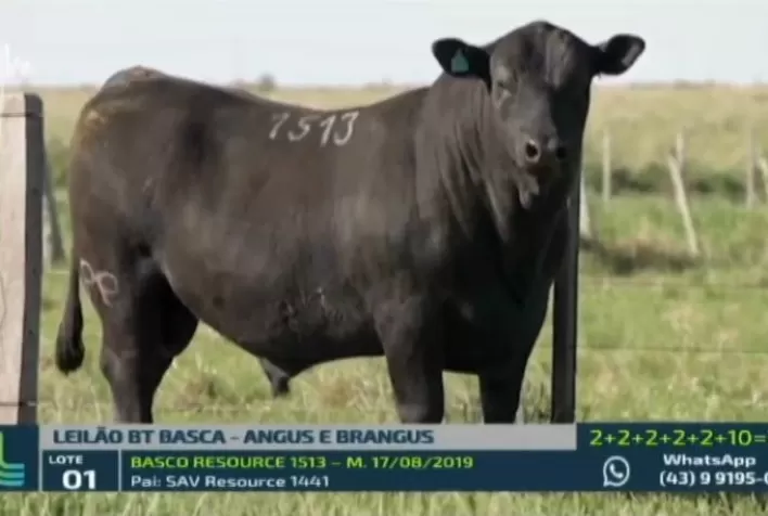 Basca fatura R$ 1,49 milhão em noite de pista ágil