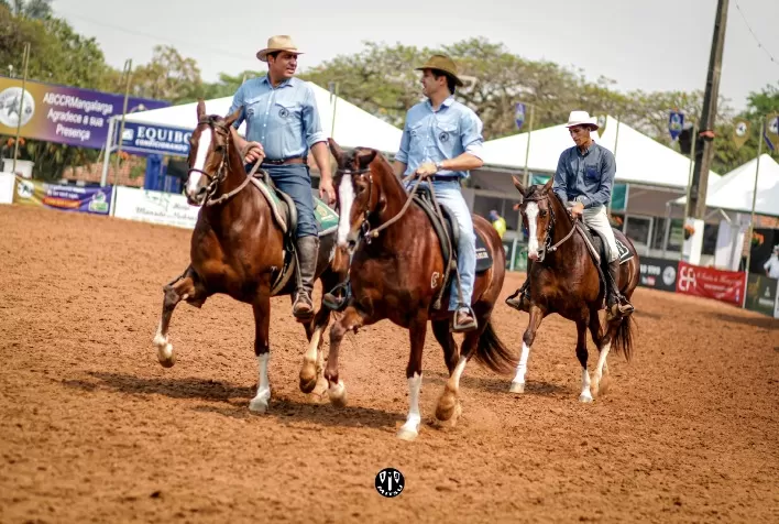 43ª Nacional Mangalarga acontece de 21 a 31 de outubro