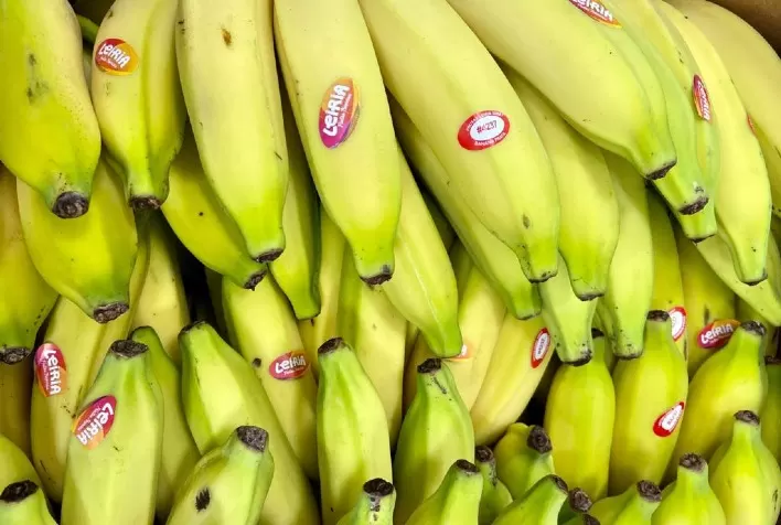 Bananas ajudam no desenvolvimento de novos atletas
