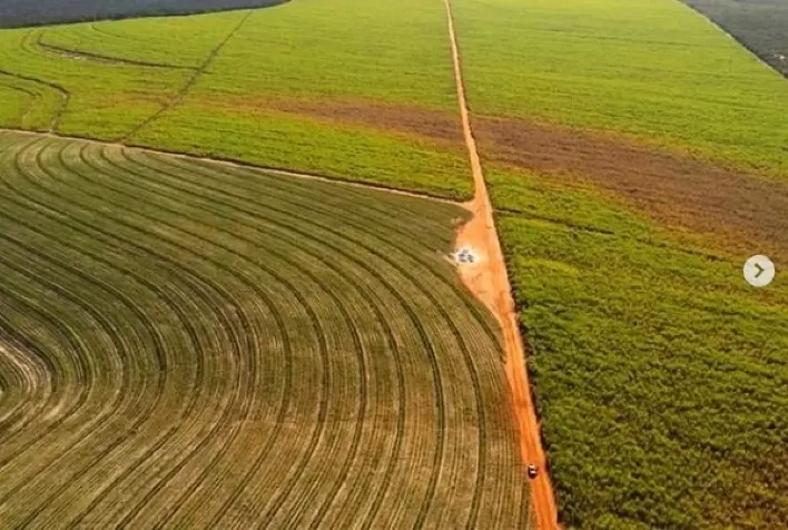 Alta das commodities estimulam investimento em novas áreas de produção rural e promove valorização das terras