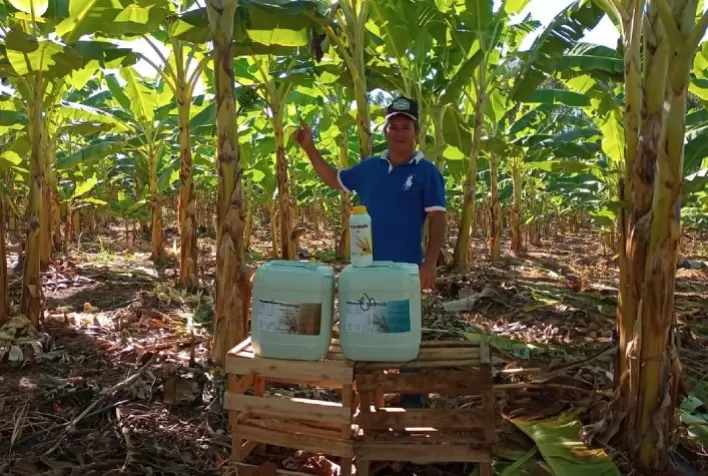 Essencial para melhoria e manutenção no campo, fertilizantes auxiliam na neutralização e adequação dos nutrientes do solo