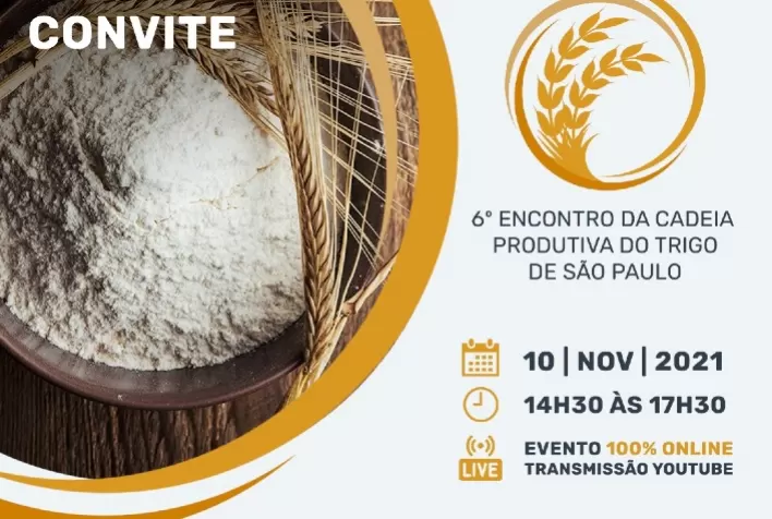 Cadeia produtiva do trigo de São Paulo discute futuro do setor e analisa alterações no mercado