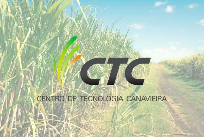 CTC divulga resultados consolidados das variedades da série 9000