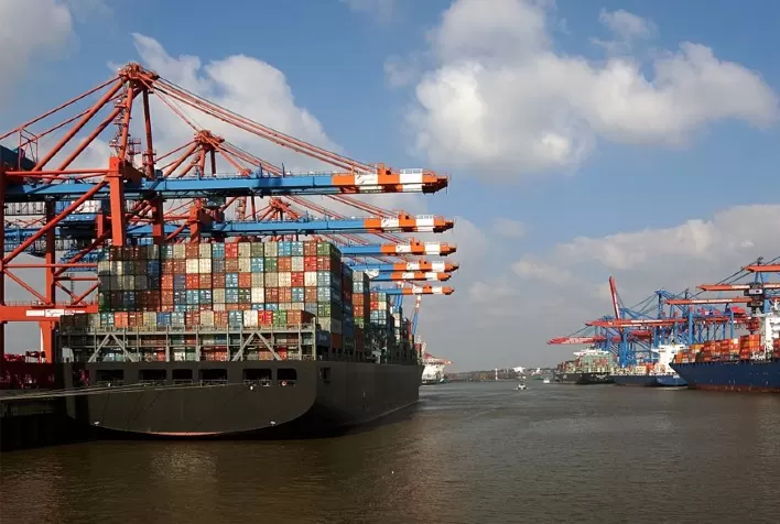 Carne de frango: exportação dos EUA para a China sofre forte desaceleração
