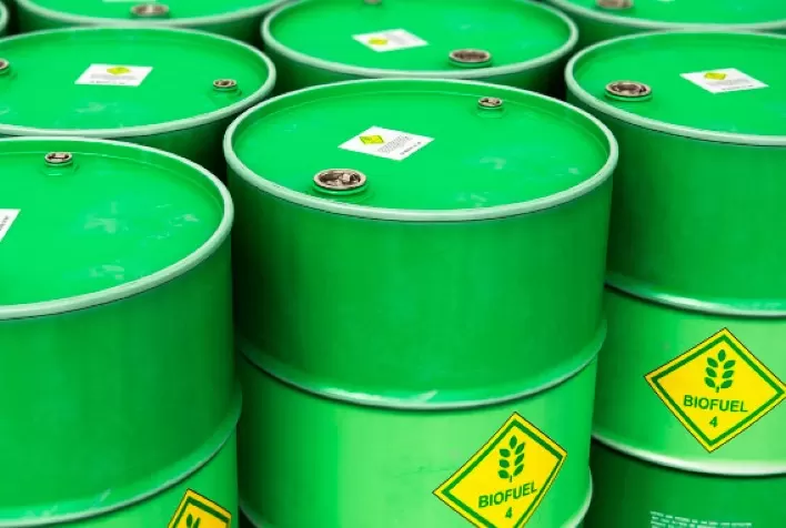Leilão de biodiesel negocia 1,07 bi litros no Brasil; preço sobe 4,4%