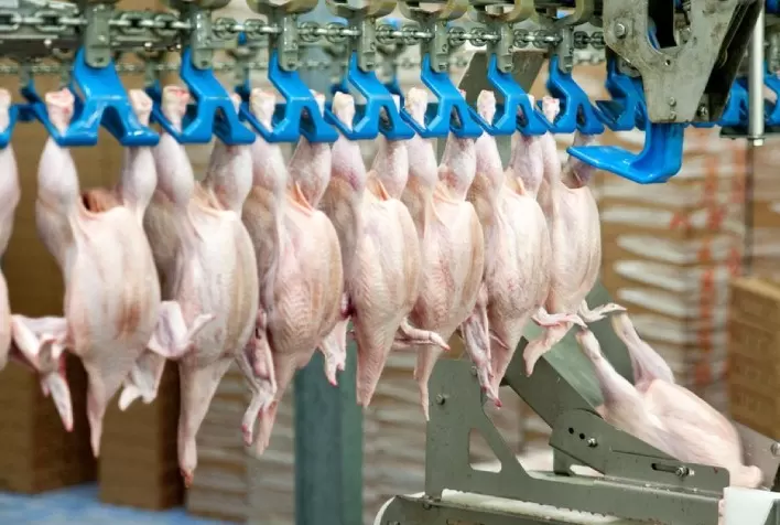Carne de frango: entre os quatro itens exportados, frango inteiro é o de maior valorização no ano