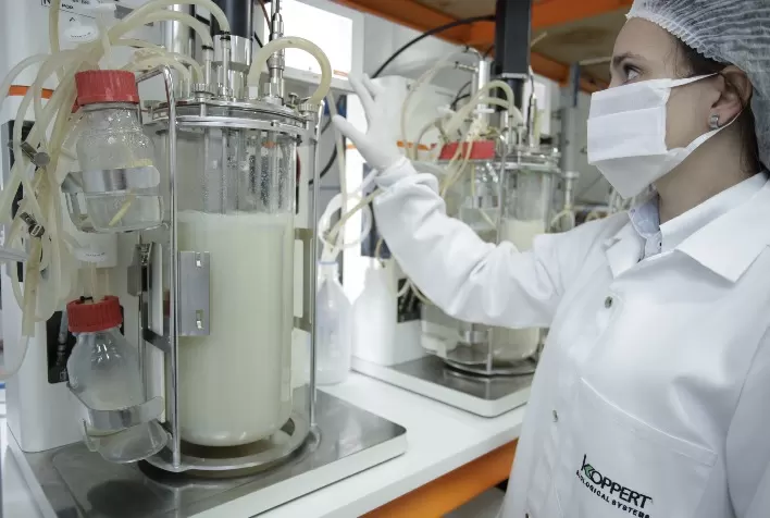 Koppert comemora 10 anos no Brasil com crescimento médio de 29% ao ano