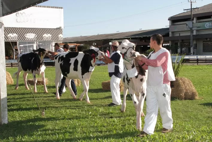 Confirmada data para retorno da Fenasul Expoleite em 2022