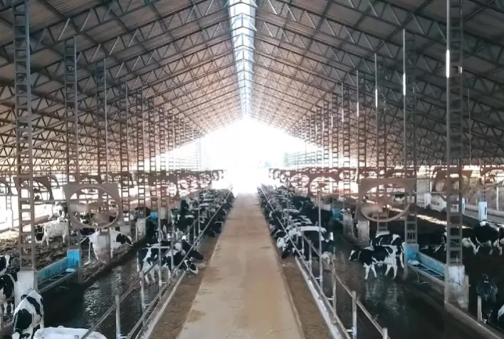 Os segredos de produtividade de 100 fazendas posicionadas entre as mais eficientes do Brasil