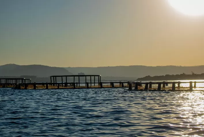 Fider Pescados conquista mais uma certificação internacional de boas práticas