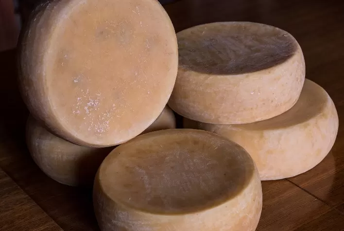SEAPDR qualifica cadeia produtiva do queijo serrano