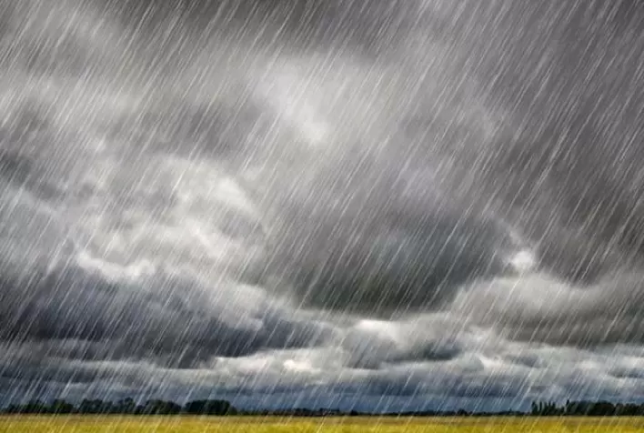 Regularização da chuva e bom cenário para Agricultura
