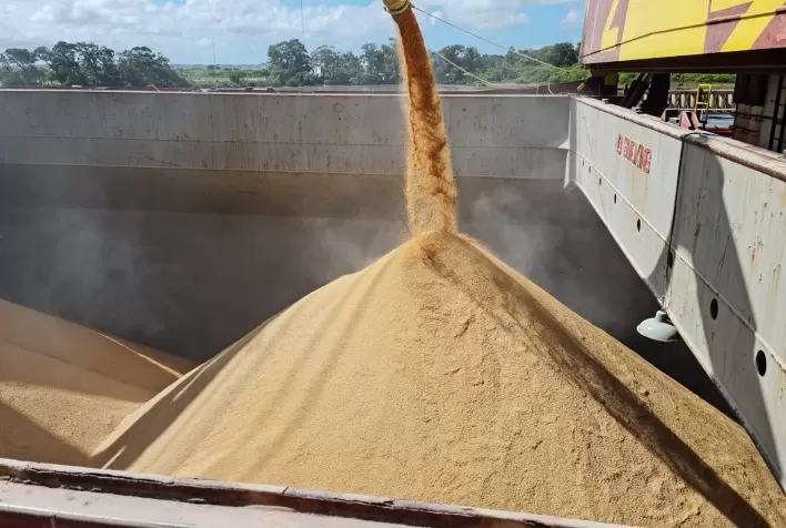 "Containergeddon" leva açúcar refinado e arroz de volta a navios graneleiros