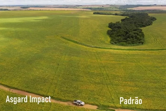 Novo fertilizante foliar aumenta a translocação de micronutrientes e dá mais força as plantas