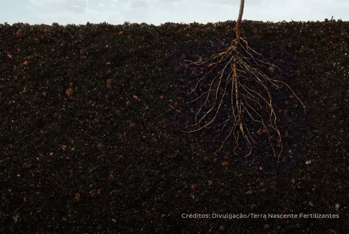 8º Congresso Brasileiro de Fertilizantes ressaltará a importância do setor no desenvolvimento do agronegócio nacional