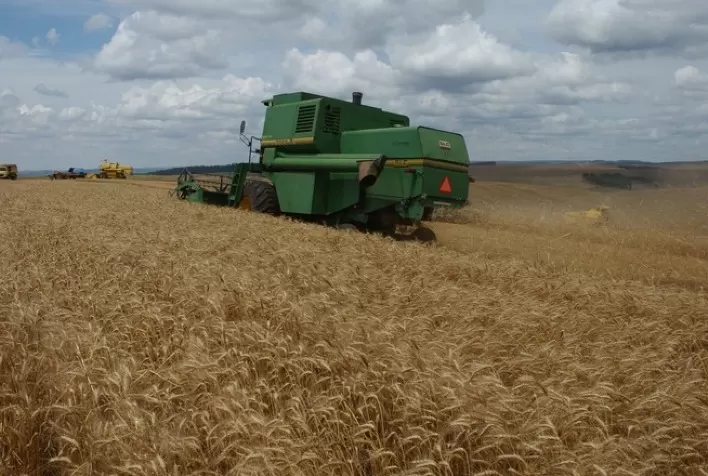 RS: Clima seco propicia avanço na colheita do trigo que chega a 28%