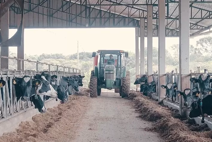 Fazenda catarinense otimiza mão de obra e aumenta taxa de prenhez do rebanho de leite após implantação de sistema de monitoramento