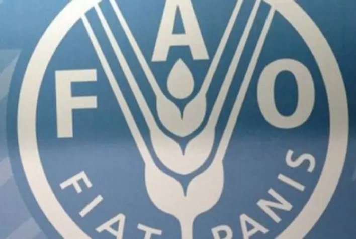 FAO lança novo sistema de informação global para doenças animais