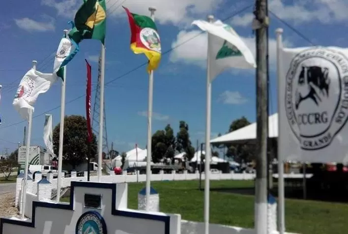 Angus terá julgamento e palestras na 47ª Expofeira de Rio Grande