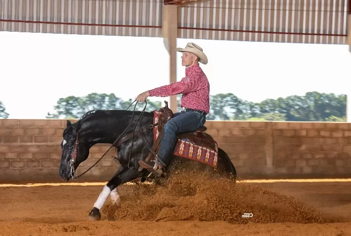 Working Cow Horse é a base para uma formação do cavalo de Trabalho