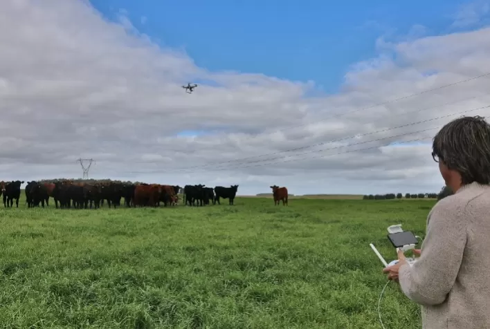 13º Congresso Brasileiro de Agroinformática (SBIAgro) acontece em novembro em formato digital