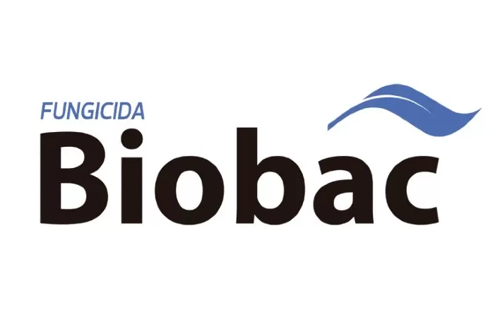 UPL lança nematicida microbiológico Biobac para cana-de-açúcar