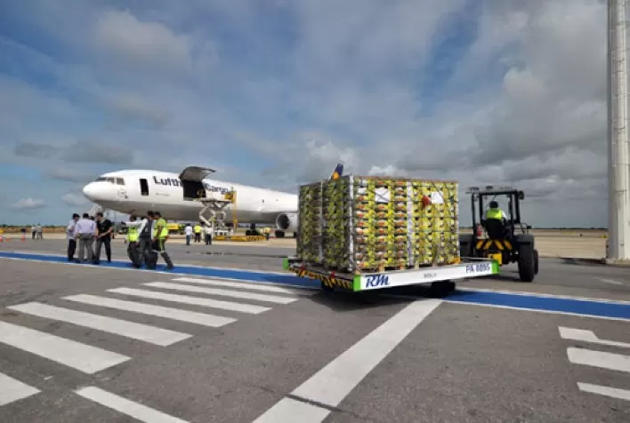 Faturamento com exportação de frutas deve atingir US$ 1 bi neste ano