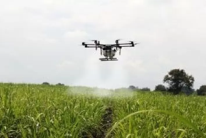No momento atual do setor sucroenergético reduzir custos de produção é um caminho primordial